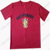 Camisetas Casas Harry Potter